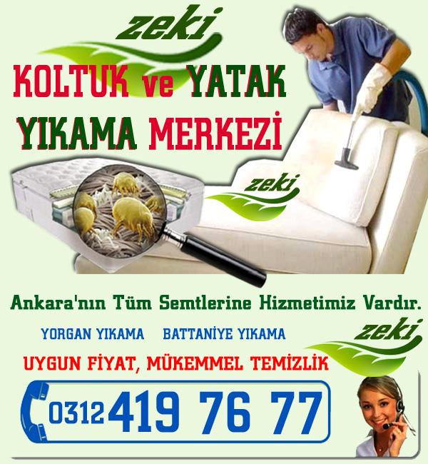 ankara yerinde baharlı koltuk yıkama